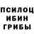 Псилоцибиновые грибы Cubensis Milica Spasojevic