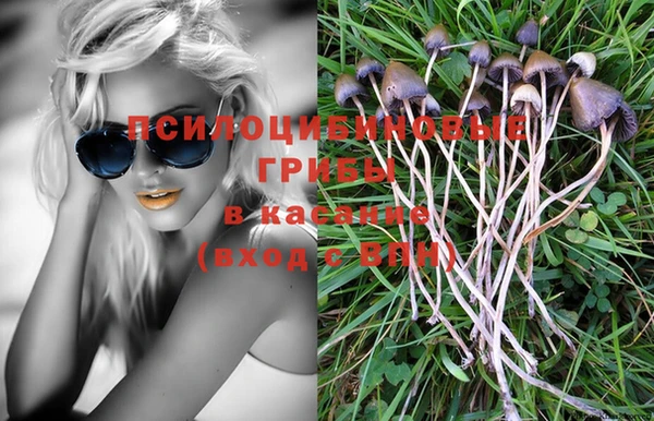 бошки Калининец