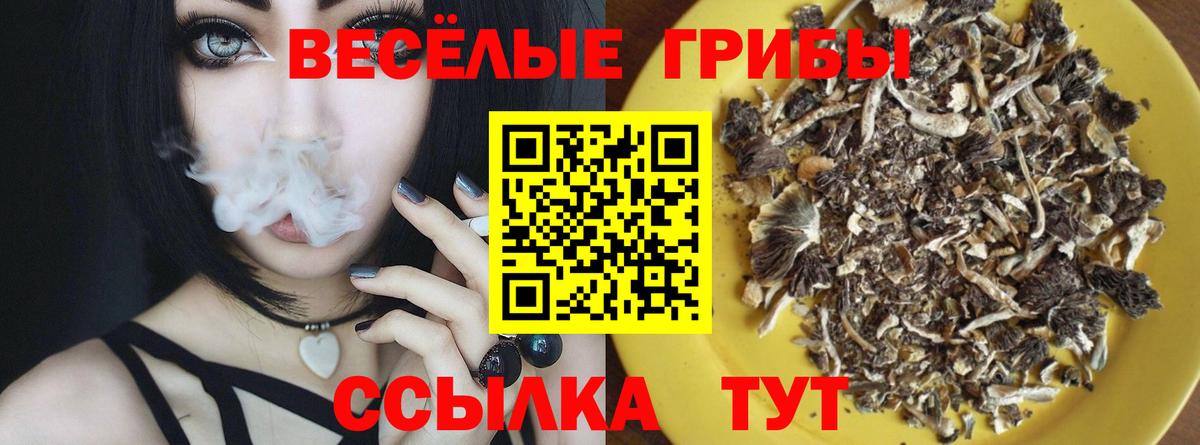 Псилоцибиновые грибы мицелий  Галлюциногенные грибы прущие грибы  Белгород  Вход с VPN 